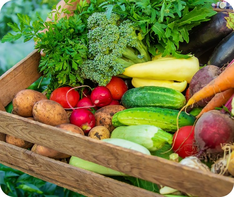 KCfarms programs